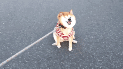 圖片36.png