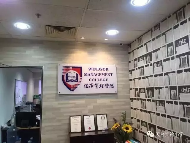 11.png