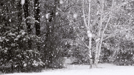 20180125141924058.gif