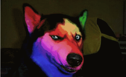 圖片3.png