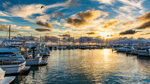 image001.gif