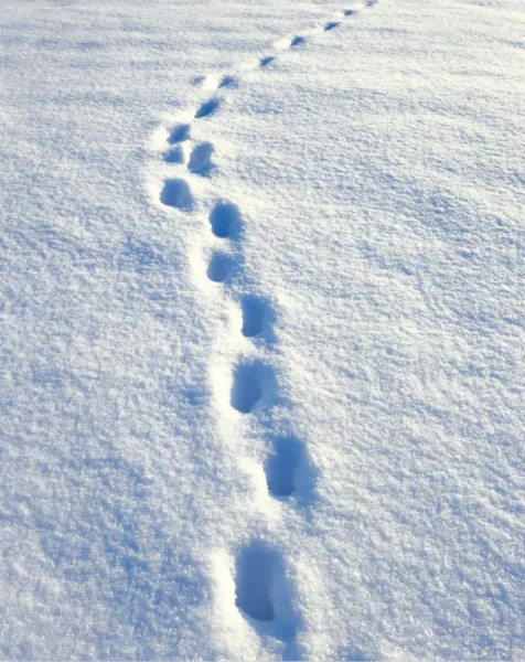 20161223092740114.jpg