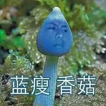20161219090616234.png