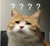 1582694526(1).png