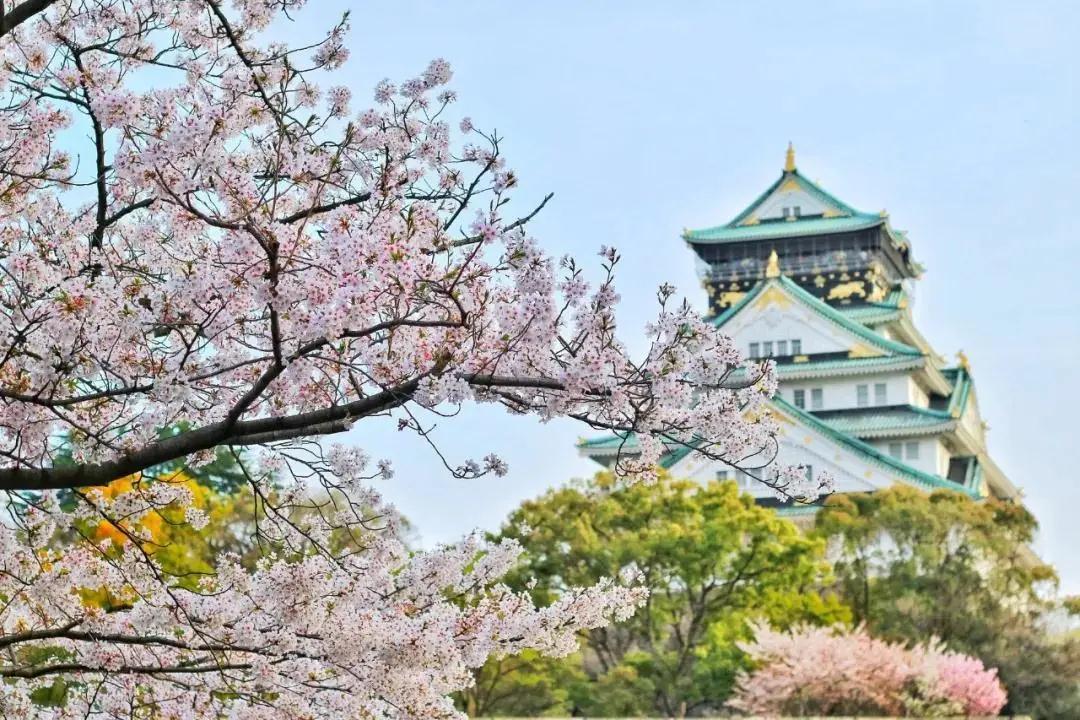 微信圖片_20200907152555.jpg